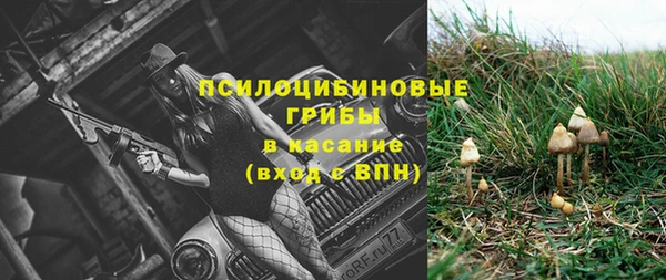 прущие крисы Абдулино