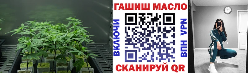 Дистиллят ТГК THC oil  Миллерово 