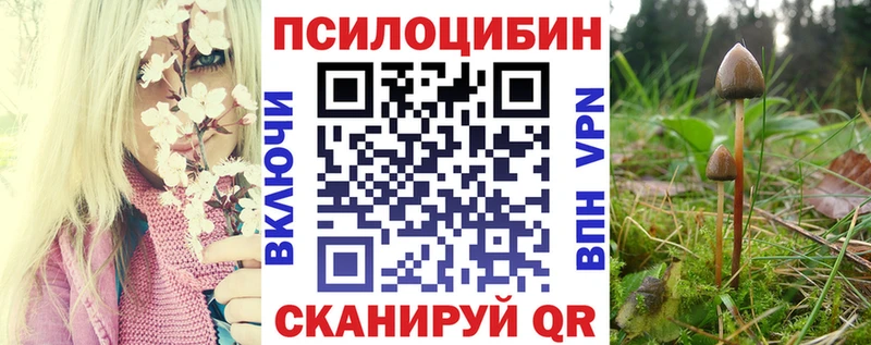 Псилоцибиновые грибы Psilocybine cubensis  Миллерово 